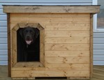 Packer - Delaware
